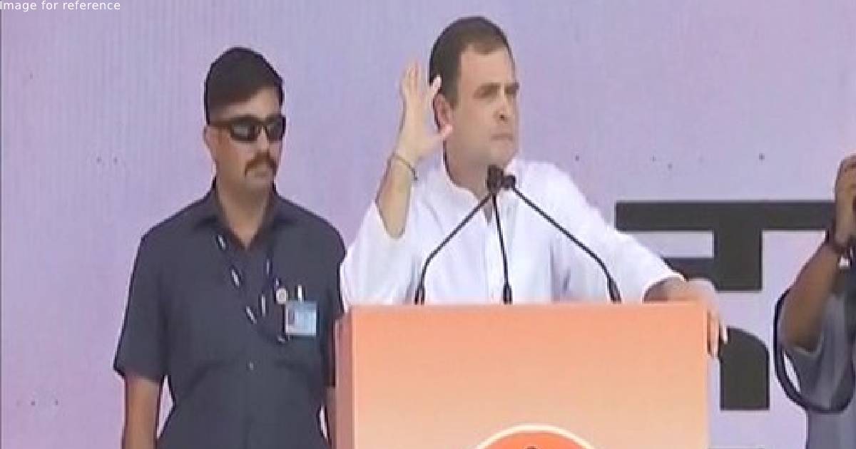 Hatred, anger rising in India: Rahul Gandhi attacks Centre, says 